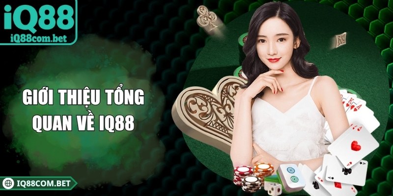 Giới thiệu tổng quan về IQ88